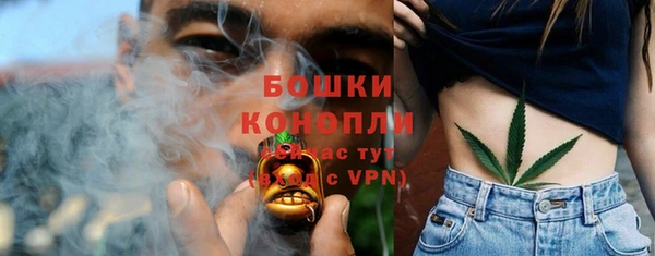 молекула духа Гусев