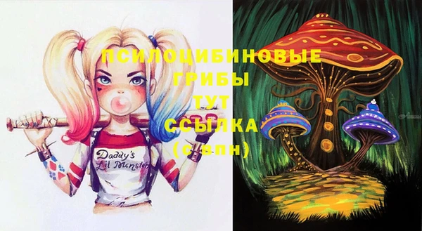 молекула духа Горняк