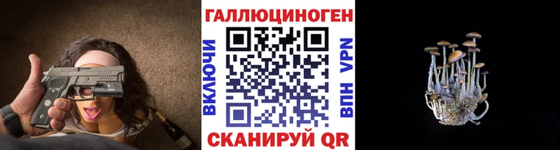 Псилоцибиновые грибы прущие грибы  Купить закладки  Заводоуковск 