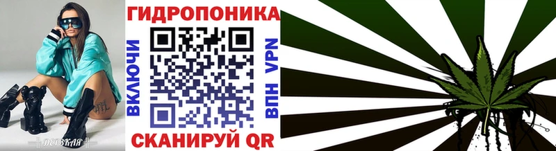 Купить  Заводоуковск  Бошки марихуана White Widow 